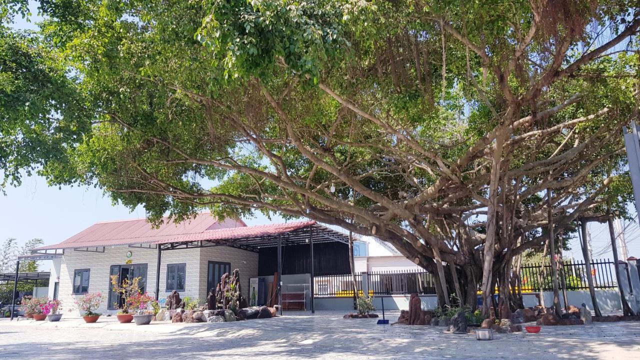 Homestay Thao Nguyen Xanh Lang Van Ke Exterior foto